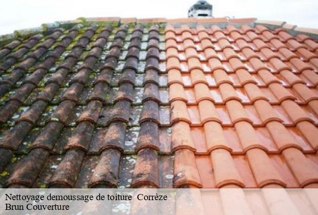 Nettoyage demoussage de toiture  19 Corrèze  Brun Couverture