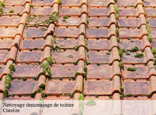 Nettoyage demoussage de toiture  19 Corrèze  Brun Couverture