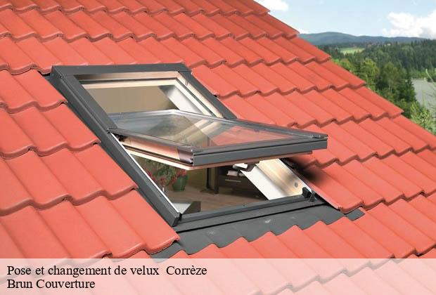 Pose et changement de velux  19 Corrèze  Brun Couverture