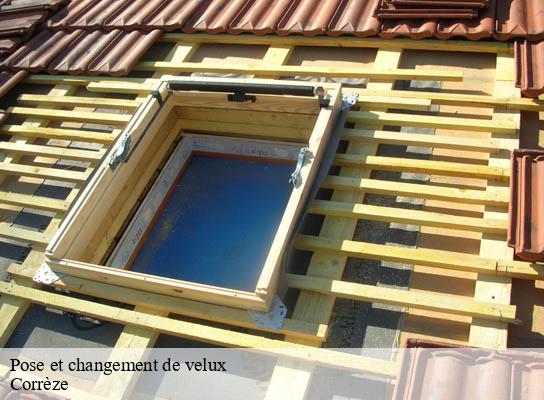 Pose et changement de velux  19 Corrèze  Brun Couverture