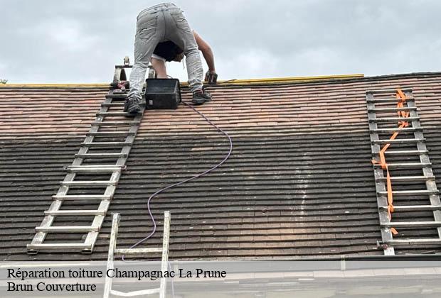 Réparation toiture  champagnac-la-prune-19320 Brun Couverture