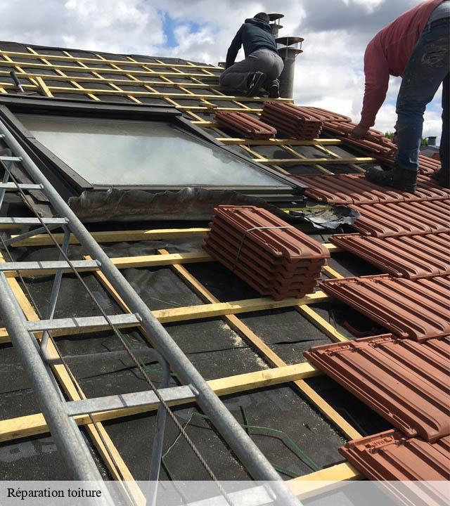 Réparation toiture lascaux-19130 Brun Couverture