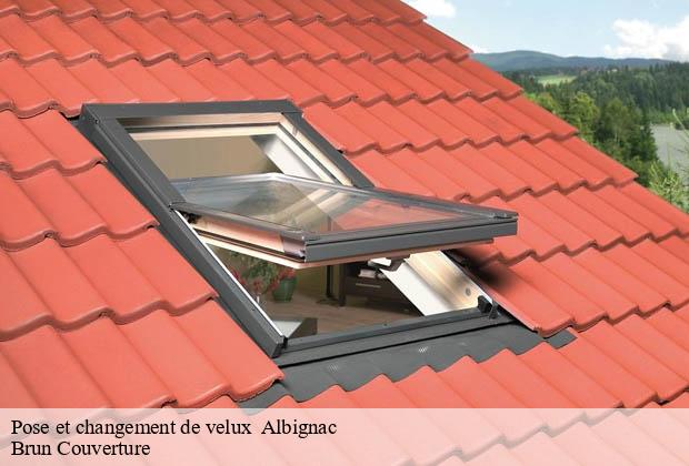 Pose et changement de velux   albignac-19190 Brun Couverture