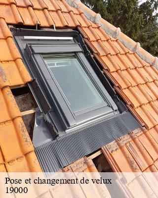 Pose et changement de velux   les-angles-sur-correze-19000 Brun Couverture