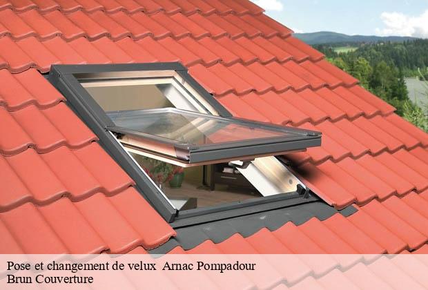 Pose et changement de velux   arnac-pompadour-19230 Brun Couverture