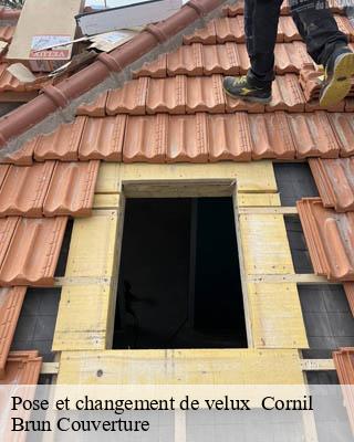 Pose et changement de velux   cornil-19150 Brun Couverture