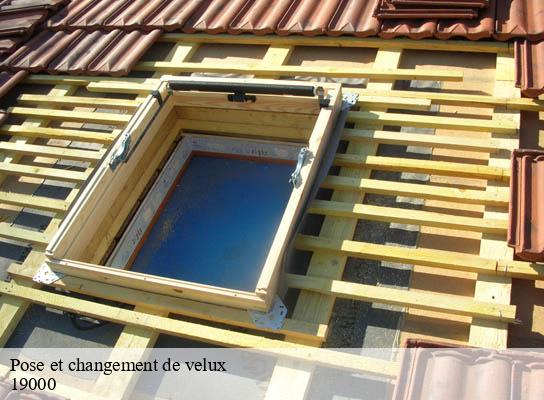 Pose et changement de velux   tulle-19000 Brun Couverture