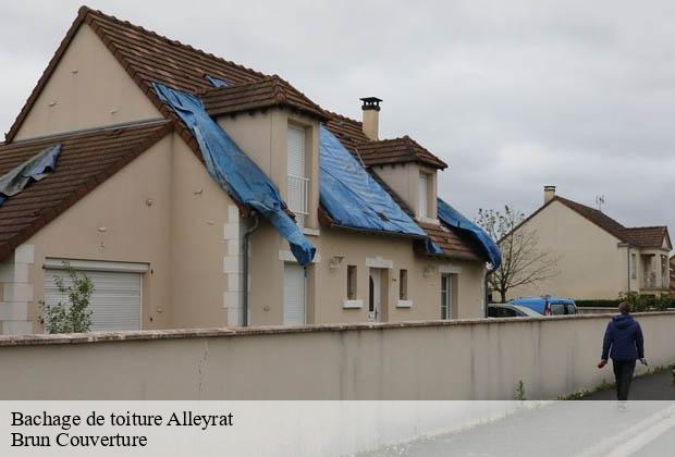 Bachage de toiture  alleyrat-19200 Brun Couverture