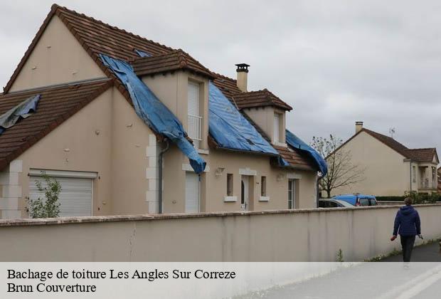 Bachage de toiture  les-angles-sur-correze-19000 Brun Couverture