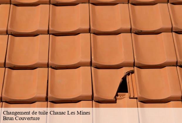 Changement de tuile  chanac-les-mines-19150 Brun Couverture