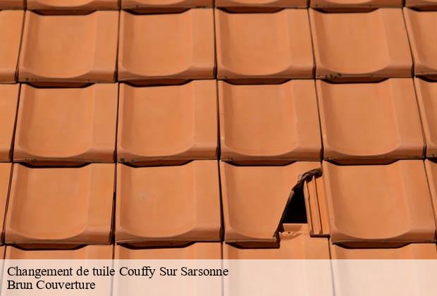 Changement de tuile  couffy-sur-sarsonne-19340 Brun Couverture