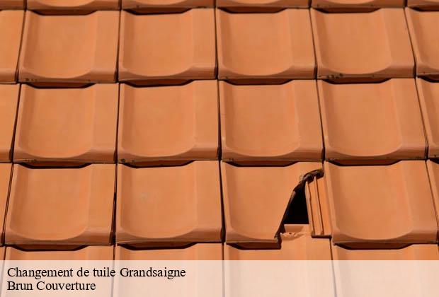 Changement de tuile  grandsaigne-19300 Brun Couverture