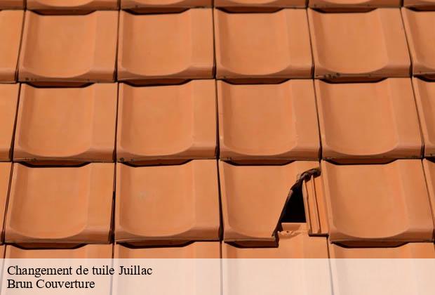 Changement de tuile  juillac-19350 Brun Couverture