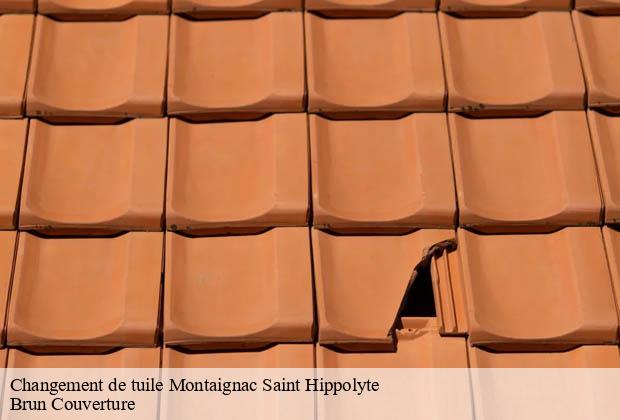 Changement de tuile  montaignac-saint-hippolyte-19300 Brun Couverture