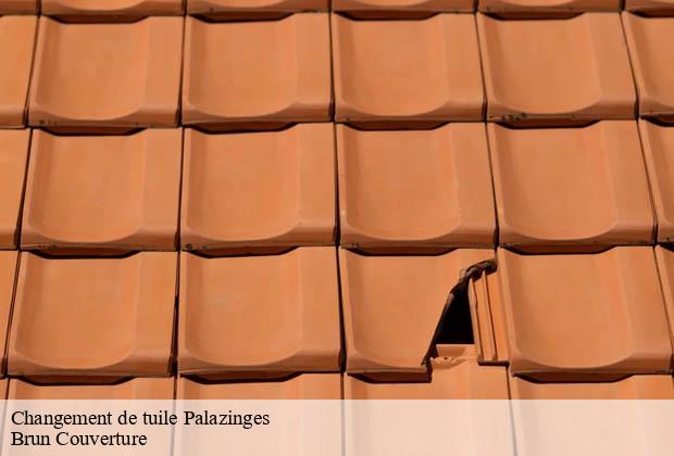 Changement de tuile  palazinges-19190 Brun Couverture