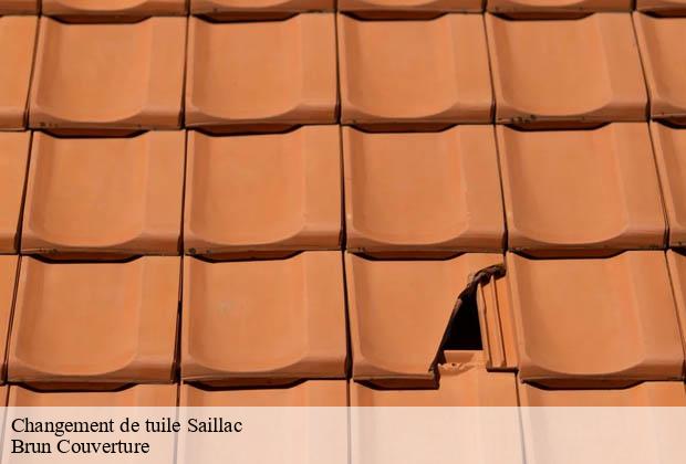 Changement de tuile  saillac-19500 Brun Couverture