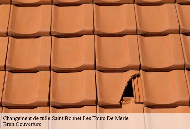 Changement de tuile  saint-bonnet-les-tours-de-merle-19430 Brun Couverture