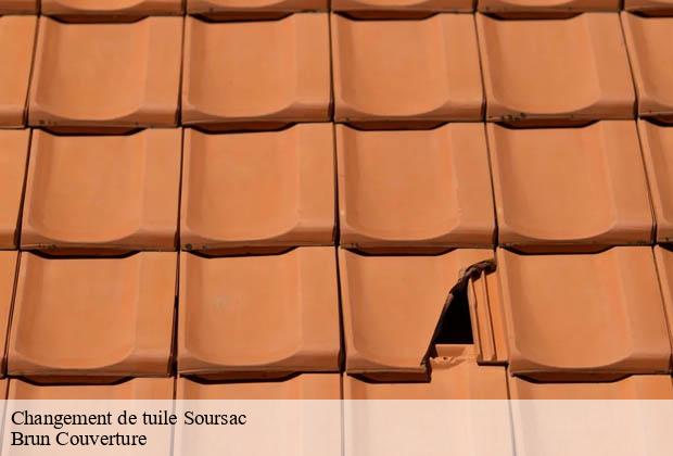 Changement de tuile  soursac-19550 Brun Couverture