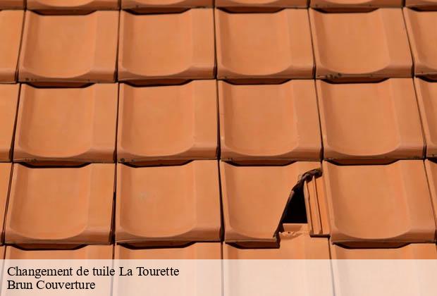 Changement de tuile  la-tourette-19200 Brun Couverture