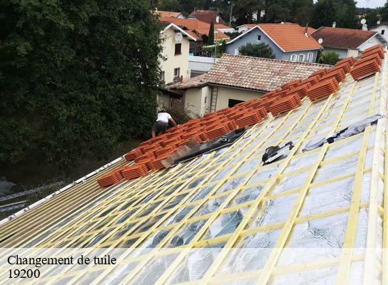 Changement de tuile  la-tourette-19200 Brun Couverture