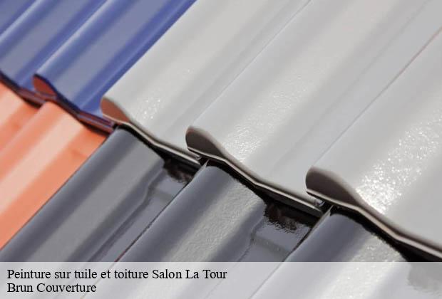 Peinture sur tuile et toiture  salon-la-tour-19510 Brun Couverture