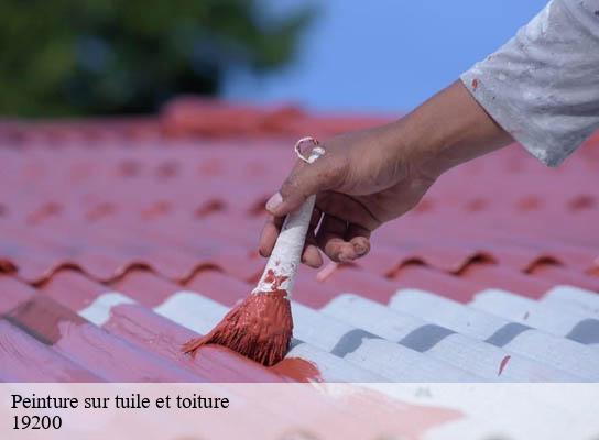 Peinture sur tuile et toiture  la-tourette-19200 Brun Couverture