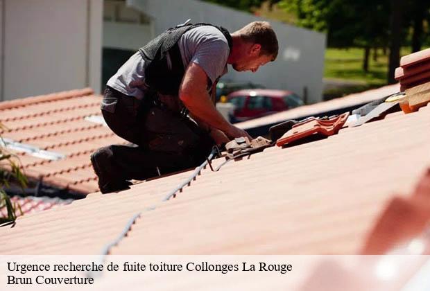 Urgence recherche de fuite toiture  collonges-la-rouge-19500 Brun Couverture