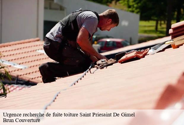 Urgence recherche de fuite toiture  saint-priesaint-de-gimel-19800 Brun Couverture