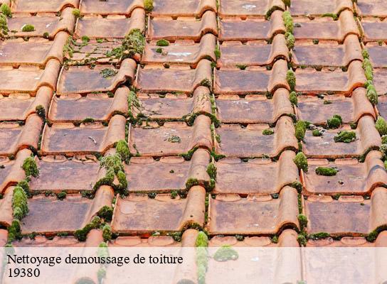 Nettoyage demoussage de toiture   albussac-19380 Brun Couverture