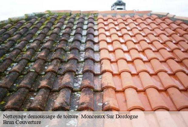 Nettoyage demoussage de toiture   monceaux-sur-dordogne-19400 Brun Couverture