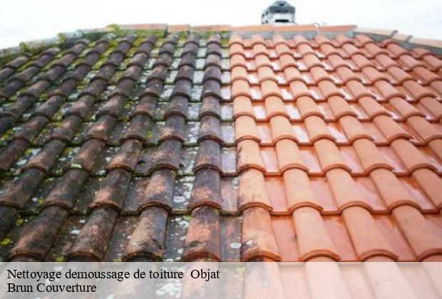 Nettoyage demoussage de toiture   objat-19130 Brun Couverture