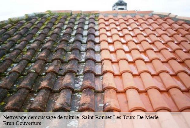 Nettoyage demoussage de toiture   saint-bonnet-les-tours-de-merle-19430 Brun Couverture